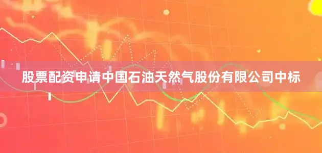 股票配资申请中国石油天然气股份有限公司中标
