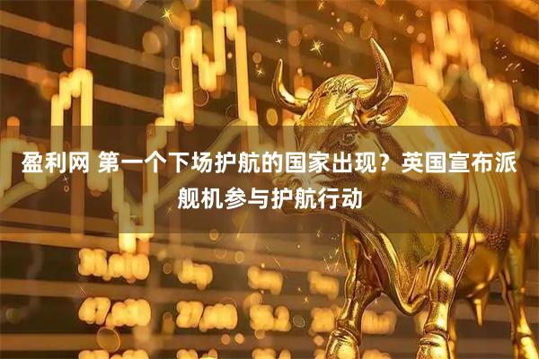 盈利网 第一个下场护航的国家出现？英国宣布派舰机参与护航行动