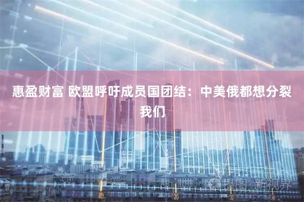 惠盈财富 欧盟呼吁成员国团结：中美俄都想分裂我们