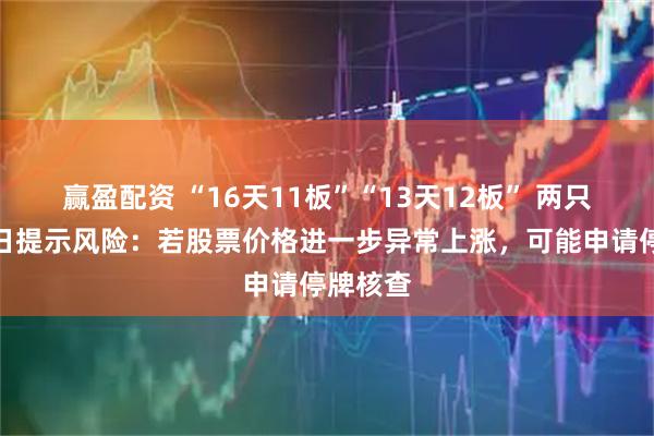 赢盈配资 “16天11板”“13天12板” 两只个股同日提示风险：若股票价格进一步异常上涨，可能申请停牌核查